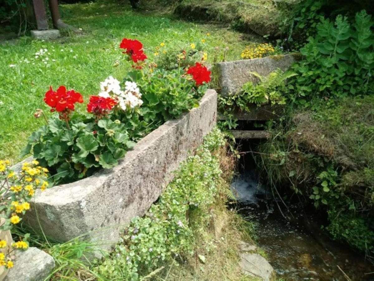 فيلا Chaloupka Na Konci Sveta Raskov المظهر الخارجي الصورة